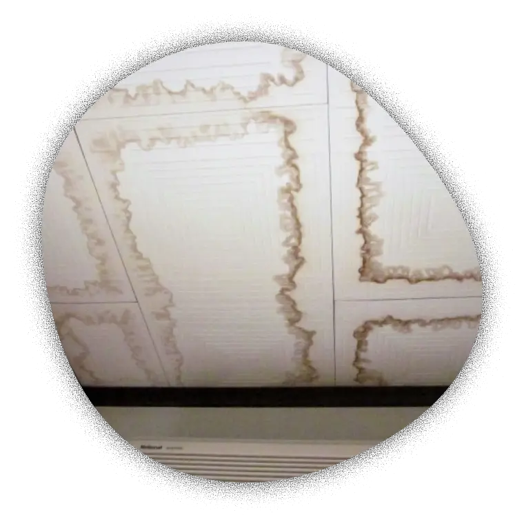 雨漏りにより天井にシミが出来ている状態